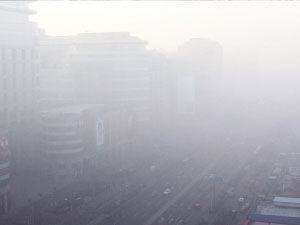 北京PM2.5指数濒临 爆表 雾霾造就津城雾凇景