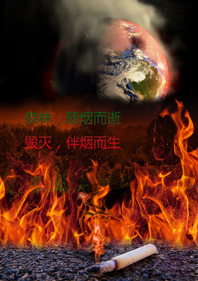 公益广告大赛平面组作品 郭棣:预防森林火灾 摈
