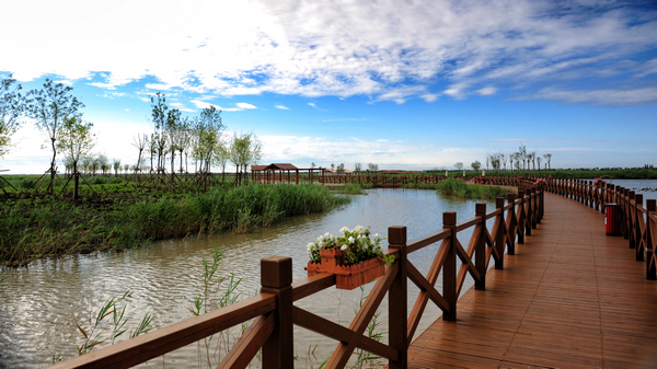 天津最大的后花园--七里海国家湿地公园_天津