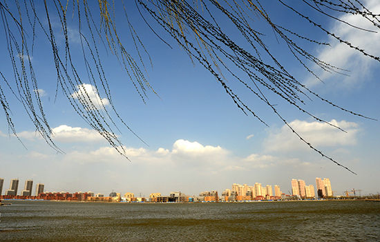 天津旅游摄影大赛参选作品:春风吹过